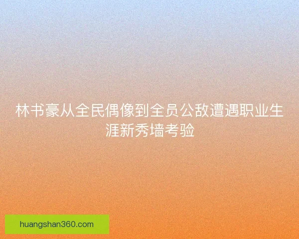 林书豪从全民偶像到全员公敌遭遇职业生涯新秀墙考验